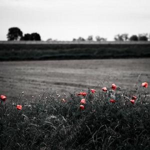 1000部拍拍拍18勿入免贳网站
