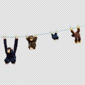 1000部拍拍拍18勿入免贳网站
