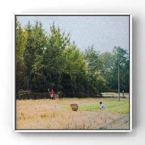 1000部拍拍拍18勿入免贳网站
